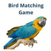 Bird Matching Game