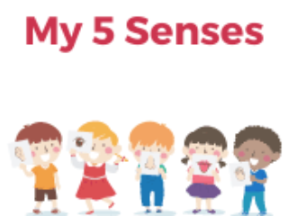 My 5 Senses