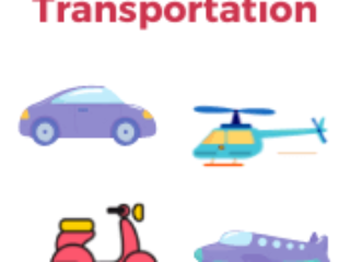 Transportation