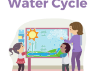 Water Cycle