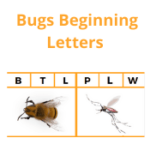 Bug Beginning Letter