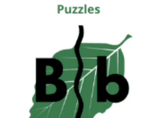 Fall Leaves Letter Puzzles