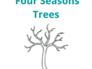 Four Seasons Trees