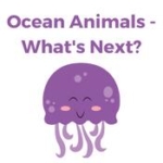 Ocean Animals - What's Next