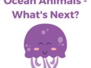 Ocean Animals - What&#039;s Next