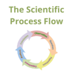 The Scientific Process Flow
