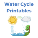 Water Cycle Printables