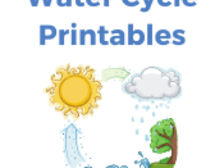 Water Cycle Printables Water Cycle Printables