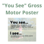 You See Gross Motor Poster