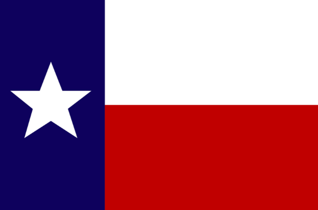 Texas Early Childcare Courses